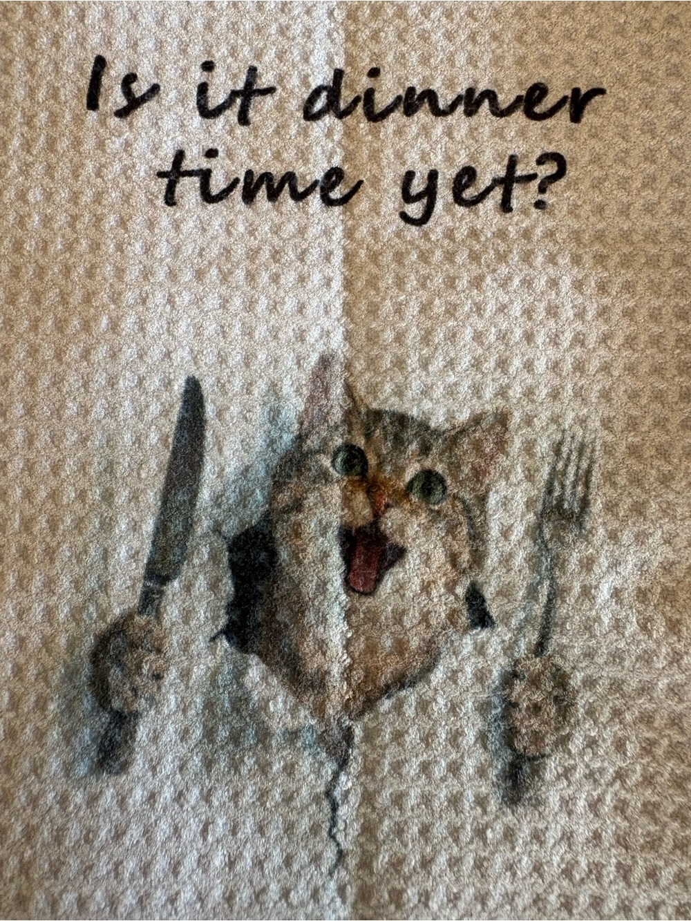 Grey NWT Cat Dinner Time Kitchen Towel with Playful Cat Graphic. So soft!